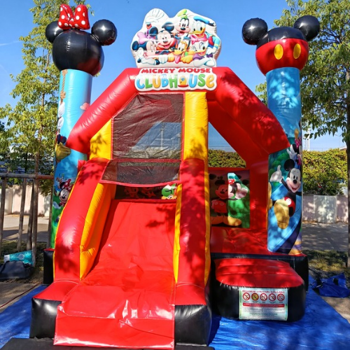 Chateau Mickey
