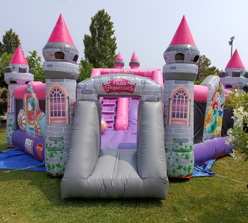 Chateau Princesse