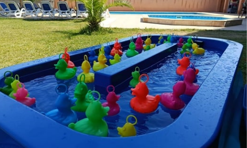 Pêche aux canards