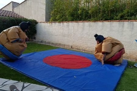 Jeu Sumo