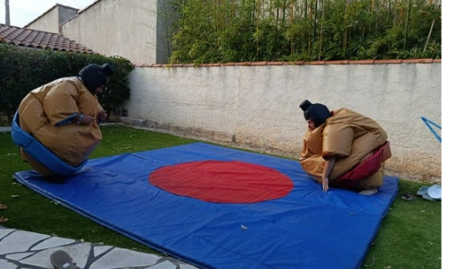 Jeu Sumo